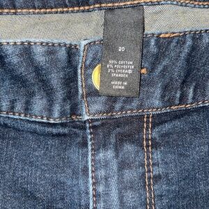 Lane Bryant  Skinny Jeans size 20
